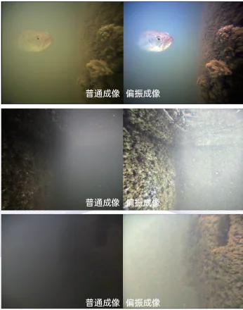 普通与偏振成像对比