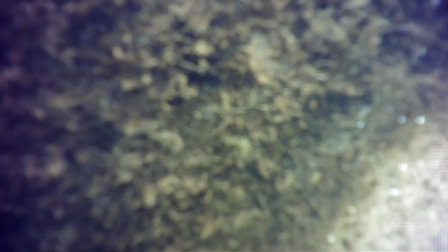 邛崃水下浑浊影像